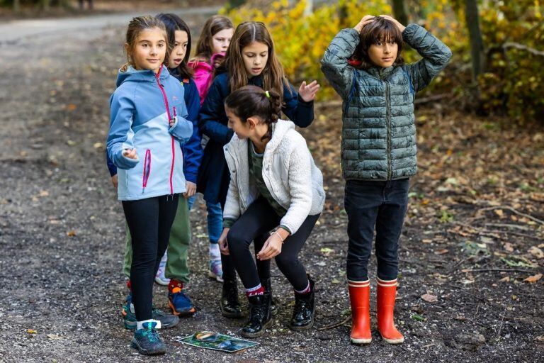 nature-learning-isl-3